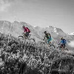 Eiger Easy بيت شباب