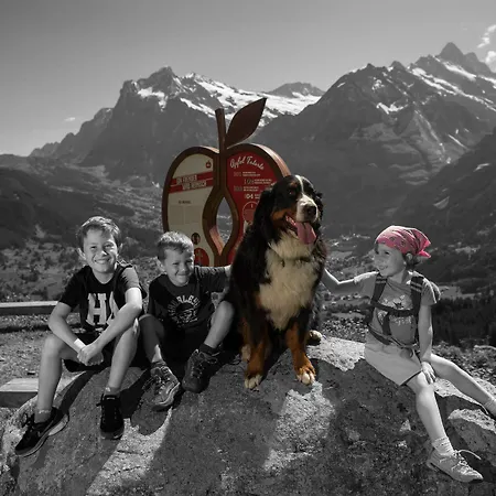 Eiger Easy *