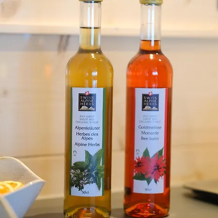 호스텔 Eiger Easy 그린델발트