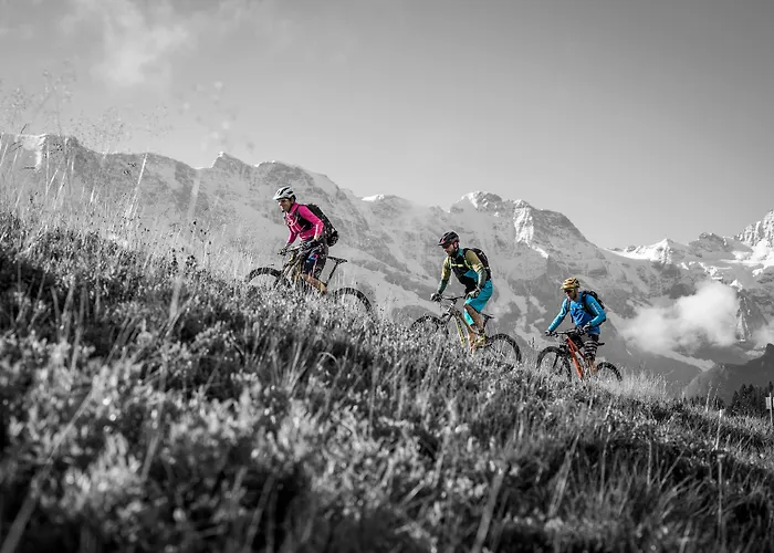 Eiger Easy Vandrerhjem