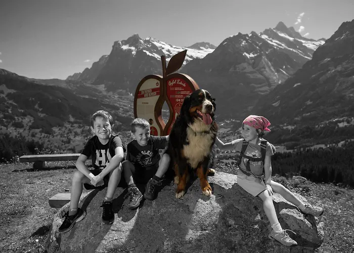 Eiger Easy *
