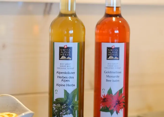 بيت شباب Eiger Easy جريندلوالد