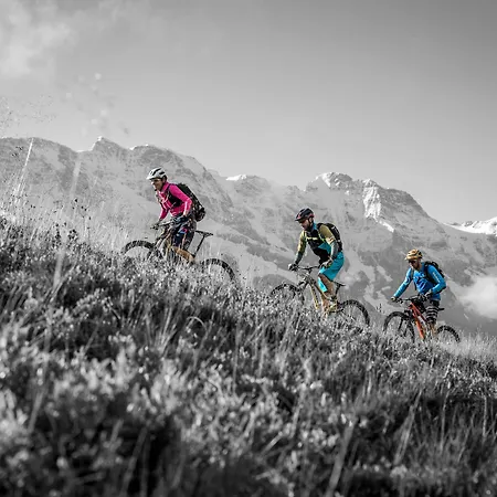 Eiger Easy Vandrerhjem
